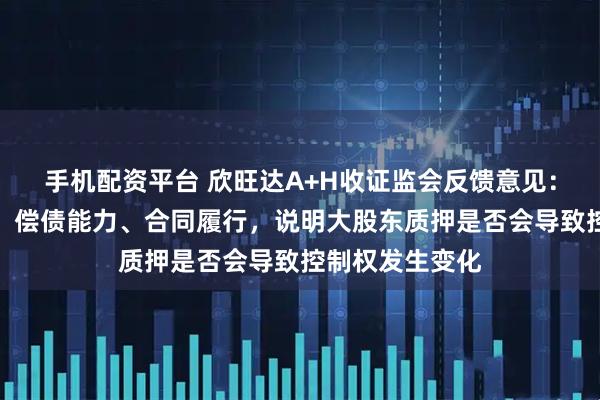 手机配资平台 欣旺达A+H收证监会反馈意见：结合质押原因、偿债能力、合同履行，说明大股东质押是否会导致控制权发生变化