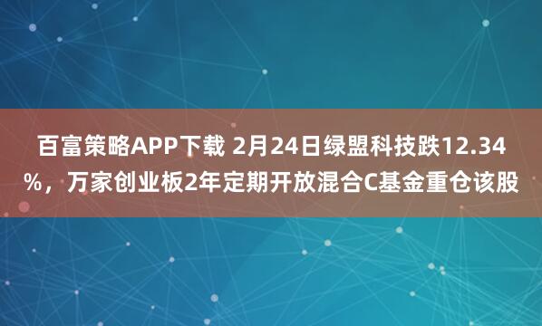 百富策略APP下载 2月24日绿盟科技跌12.34%，万家创业板2年定期开放混合C基金重仓该股