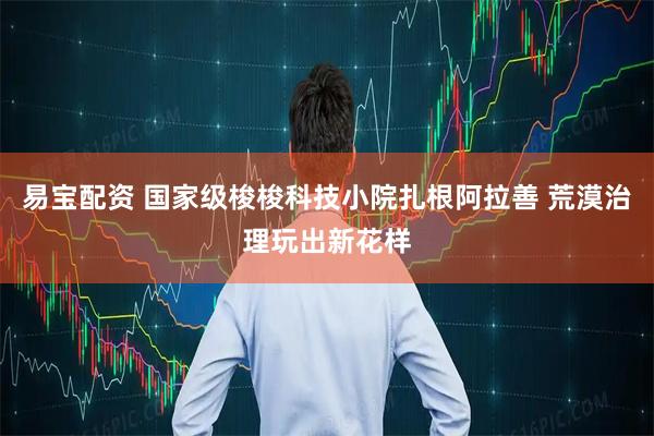 易宝配资 国家级梭梭科技小院扎根阿拉善 荒漠治理玩出新花样