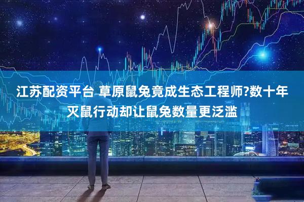 江苏配资平台 草原鼠兔竟成生态工程师?数十年灭鼠行动却让鼠兔数量更泛滥