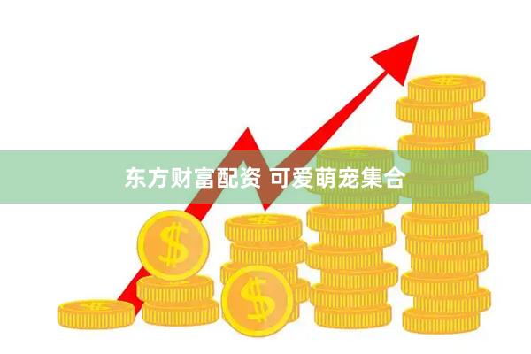 东方财富配资 可爱萌宠集合
